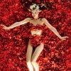 American Beauty