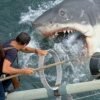 Jaws